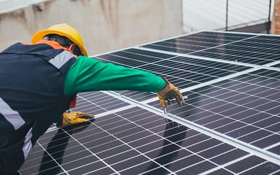 BIM y el diseño sostenible: Un Enfoque Ecológico desde las RaÃces